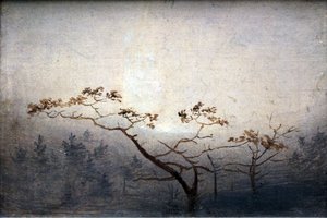 Árvores ao nascer do sol no outono